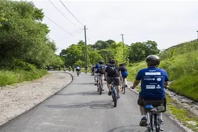 Volunteers Rally to Clean Don Valley Trails